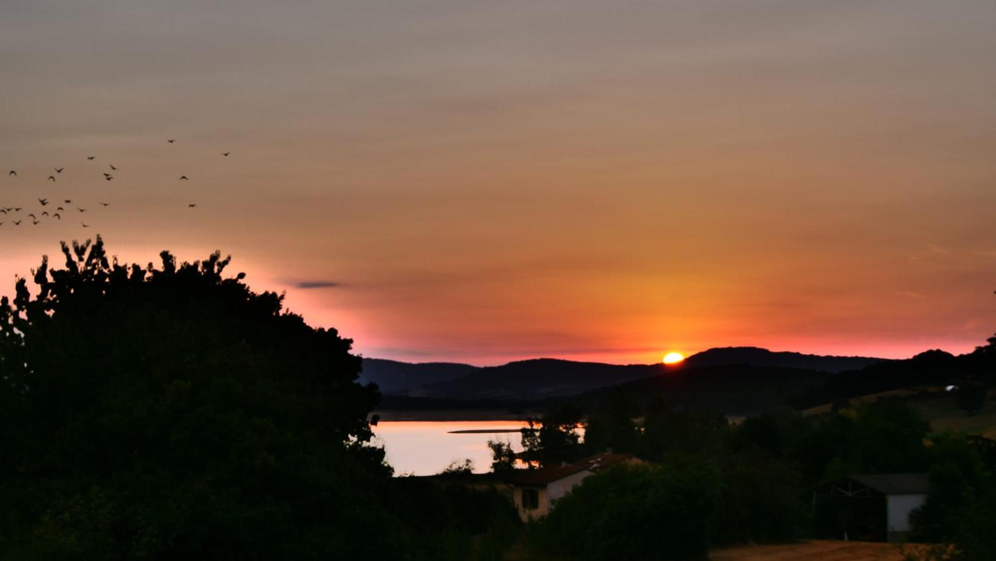 Maison Avec Vue Sur Le Lac De Montbel Εξωτερικό φωτογραφία