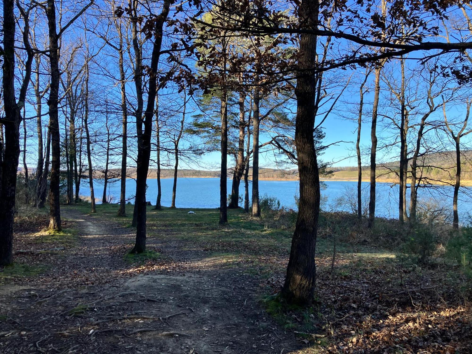 Maison Avec Vue Sur Le Lac De Montbel Εξωτερικό φωτογραφία
